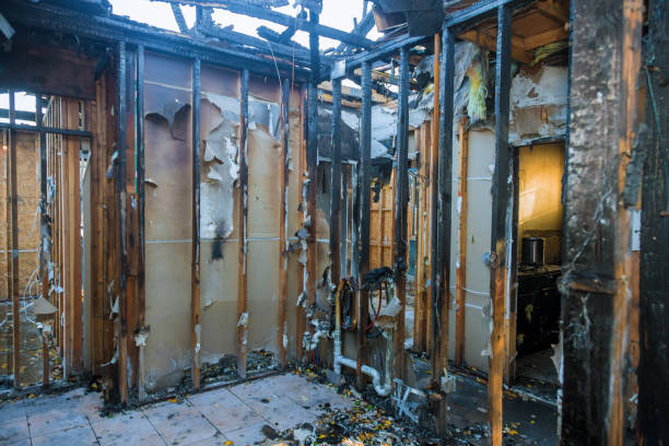 Professional Fire Damage Removal technician working in Wyanet, IL